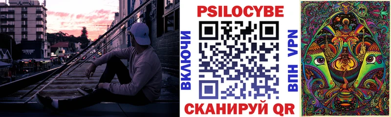 дарнет шоп  Заринск  Галлюциногенные грибы ЛСД 
