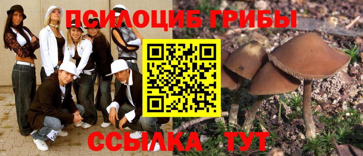 Псилоцибиновые грибы мухоморы Заринск